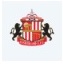 Sunderland Logo 2013-2014