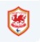 cardiff city logo 2013-2014
