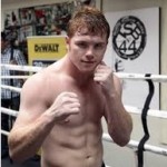 Canelo Alvarez Money Per Fight 2013