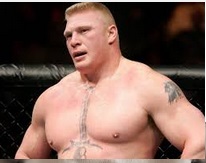 Brock Lesnar Total Earnings 