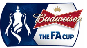 FA CUp Highlights 2014