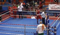 boxer knocks out referee KTFO